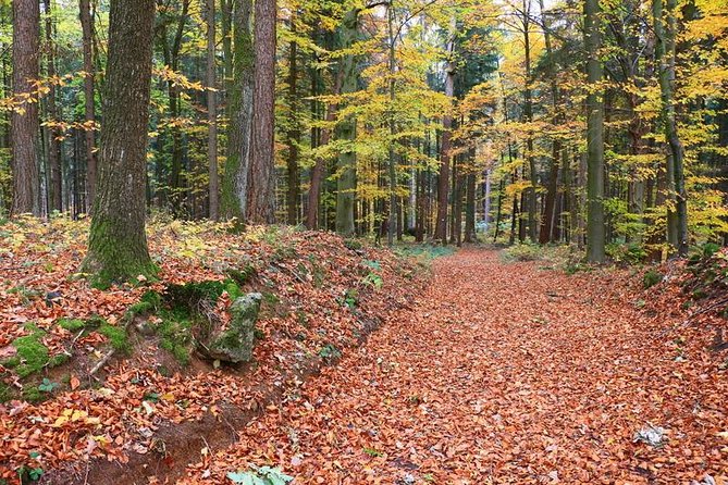 Five Seidla Steig ® Beer Hike Food Experience Private Tour (departs Nuremberg)