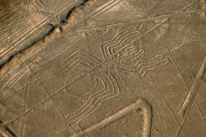 Flight Over the Nazca Lines From Nazca (35 Min)