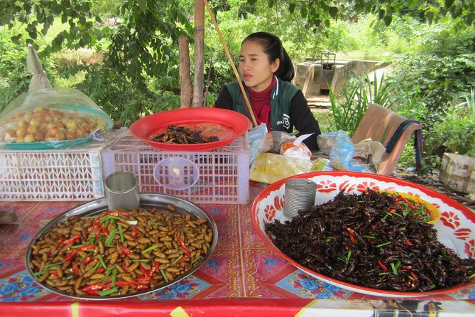 Floating Village ( Meychrey), Tole Sap-Half Day Tour - Tour Overview