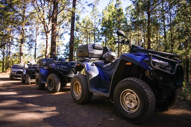 Forest & Off Road National Park Quad Biking Tour