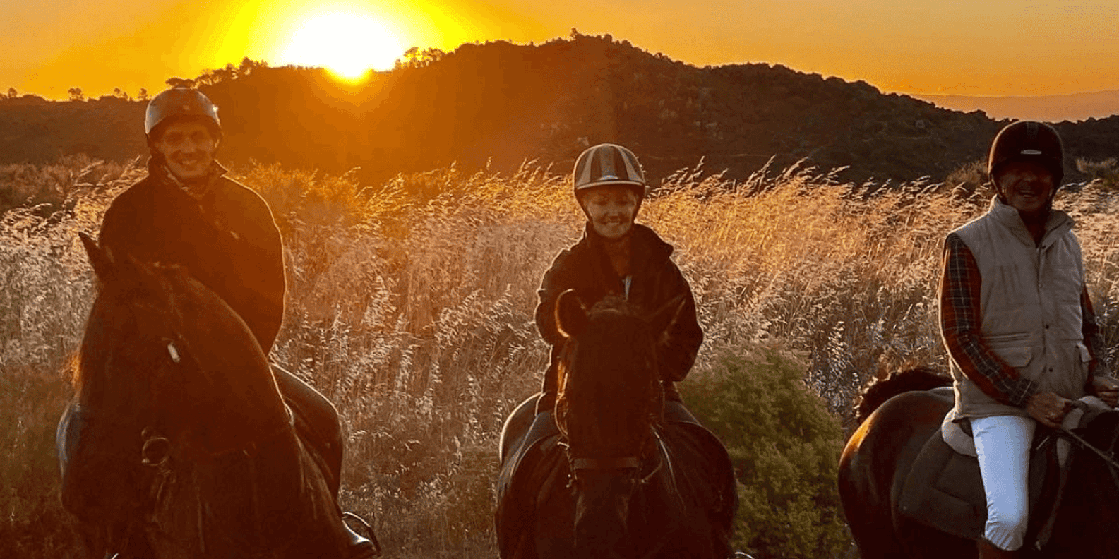 Franschhoek: 2h Horseback Riding at Sunset With Sundowners - Experience Overview