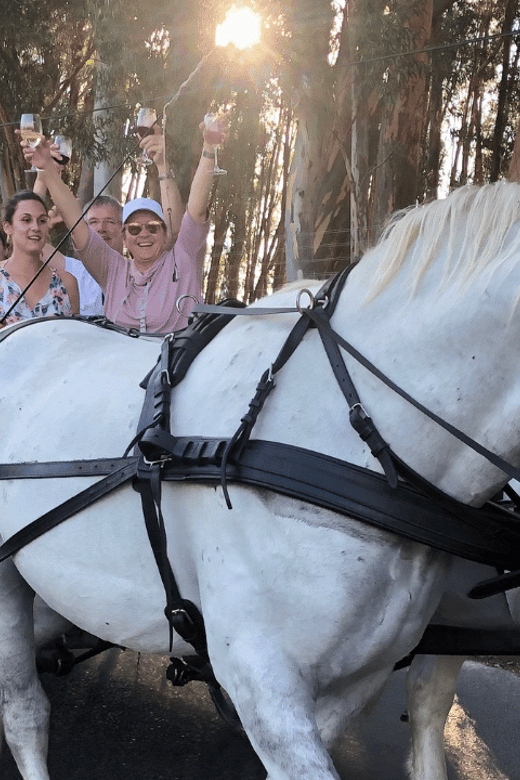 Franschhoek: 2h Premium Wine Tasting & Carriage Trail