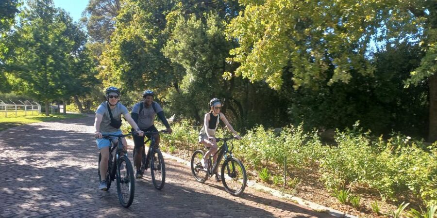 Franschhoek E-Bike & Wine Tour