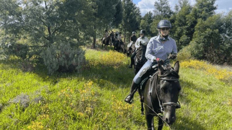 Franschhoek: Full-Day Horseback Riding and Wine Tasting Tour - Tour Overview