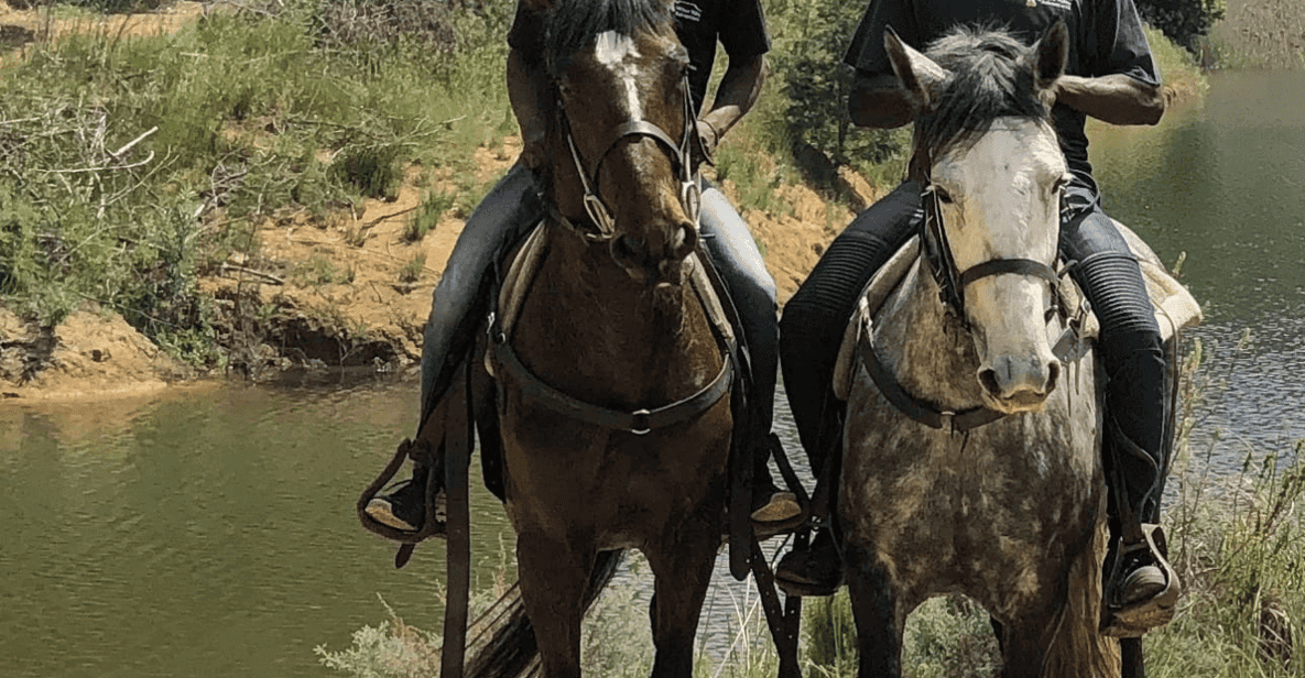 Franschhoek: Half Day Horse Trail and Wine Tasting - Overview of the Activity