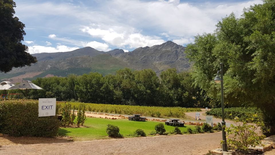 Franschhoek & Stellenbosch: Full-Day Wine Tour - Tour Overview