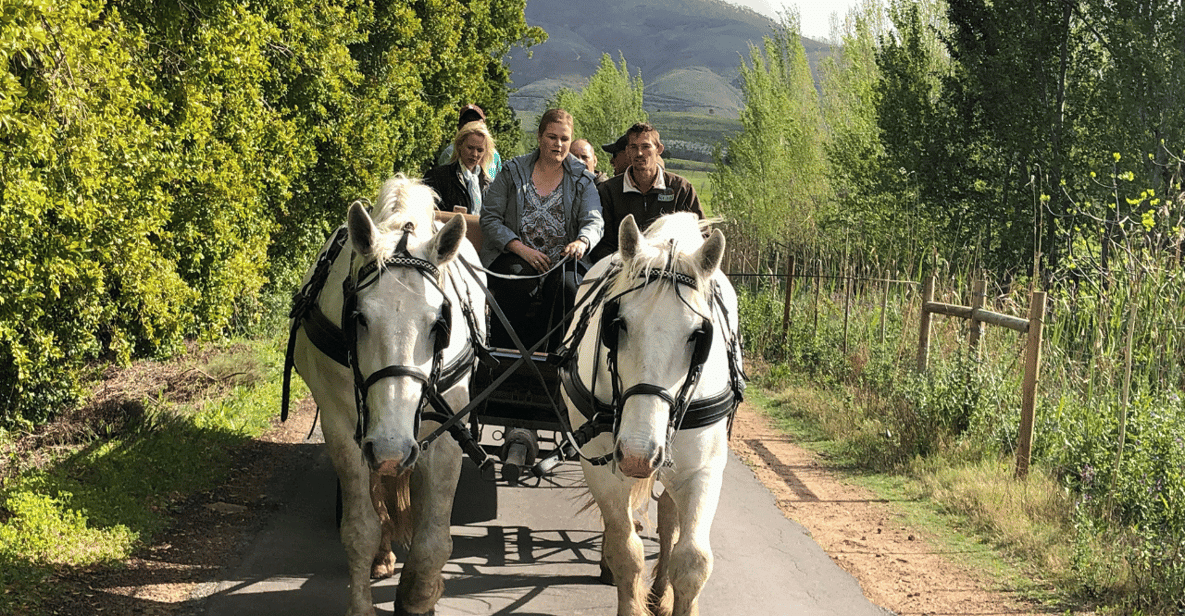 Franschhoek: Vrede En Lust Wine Estate 1H Carriage Ride - About Vrede En Lust Wine Estate