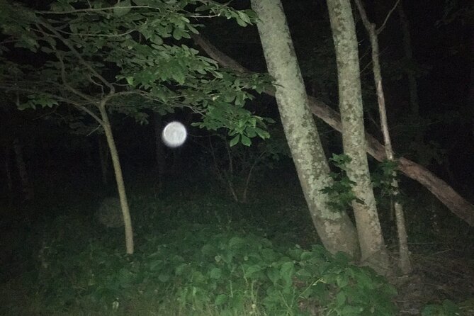 Fright Night Investigation – Small Group Gettysburg