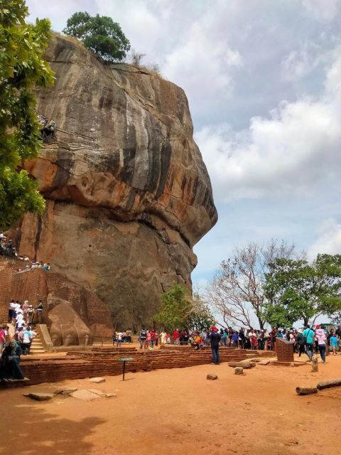 From Bentota: Sigiriya Lion Rock & Dambulla Cave Temple Tour - Tour Overview