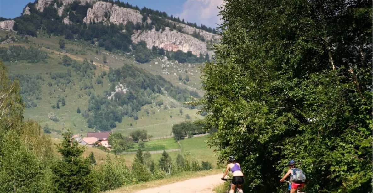 From Brasov : Piatra Craiului National Park on Ebike - Tour Overview