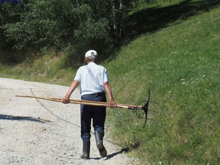 From Brasov: Romanian Mountain Villages Day Tour - Overview of the Tour