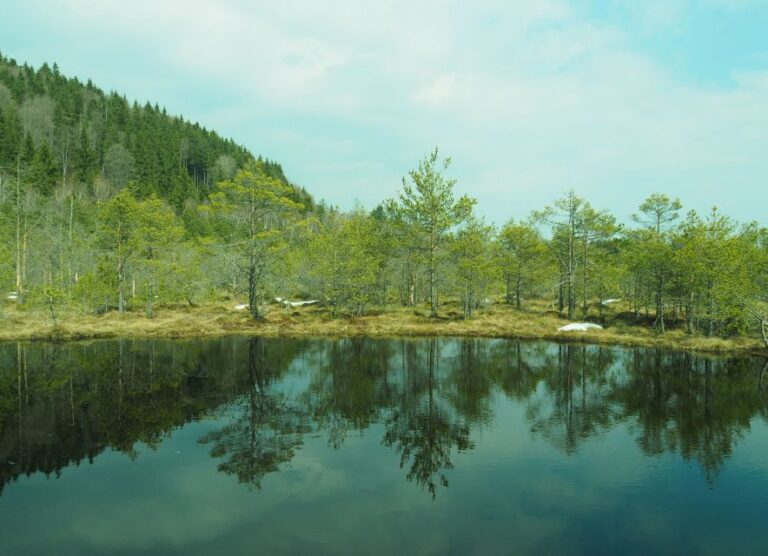 From Brasov: Small-Group Volcanic Lake Day Trip