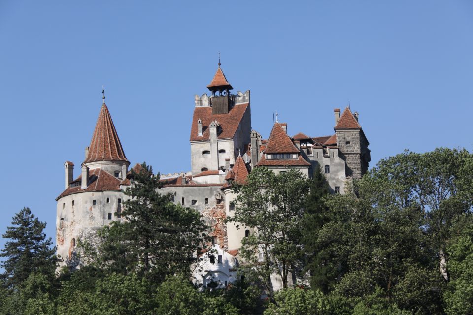 From Bucharest: Bran Castle and Peleș Castle Guided Day Trip - Overview of the Day Trip