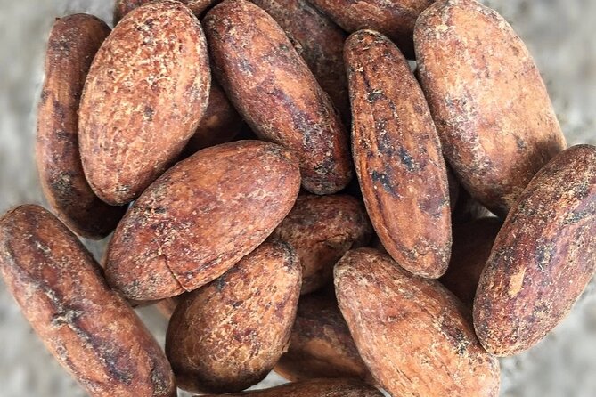 From Cacao to Chocolate: Private Tour in Manta
