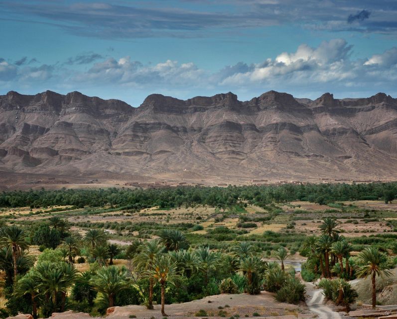 From Cairo: 3- Days El-Alamin, Siwa Oasis & Desert Safari