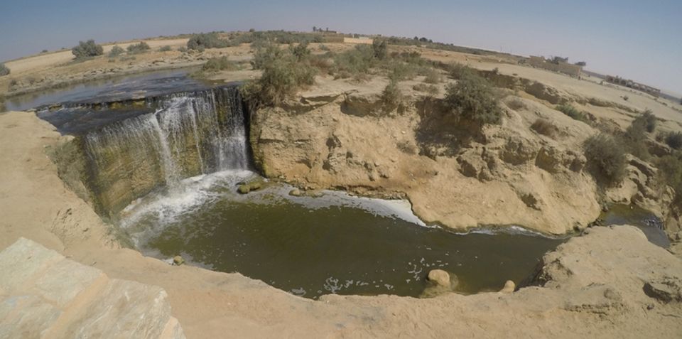 From Cairo: Fayoum Oasis and Wadi Al Rayan Guided Tour - Tour Overview and Pricing