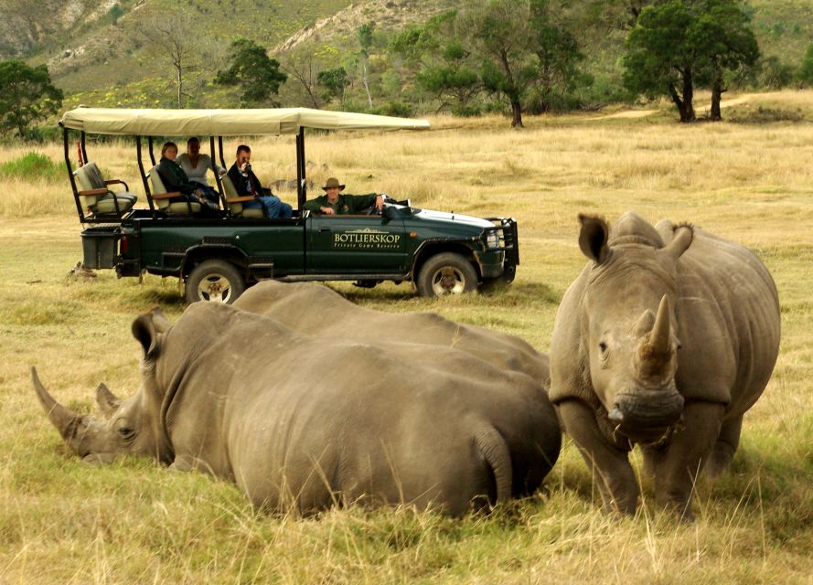 From Cape Town: 2-Day Wildlife and 4x4 Safari Experience - Overview and Pricing