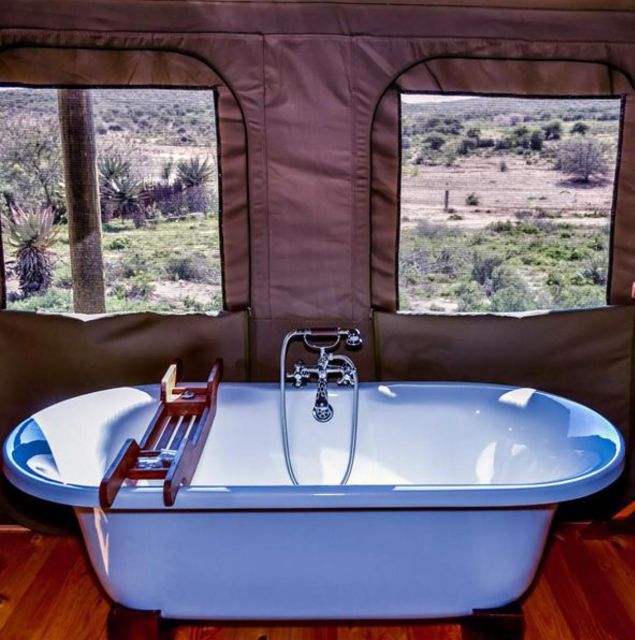 From Cape Town: 4 Day Luxury Garden Route Selection Tour