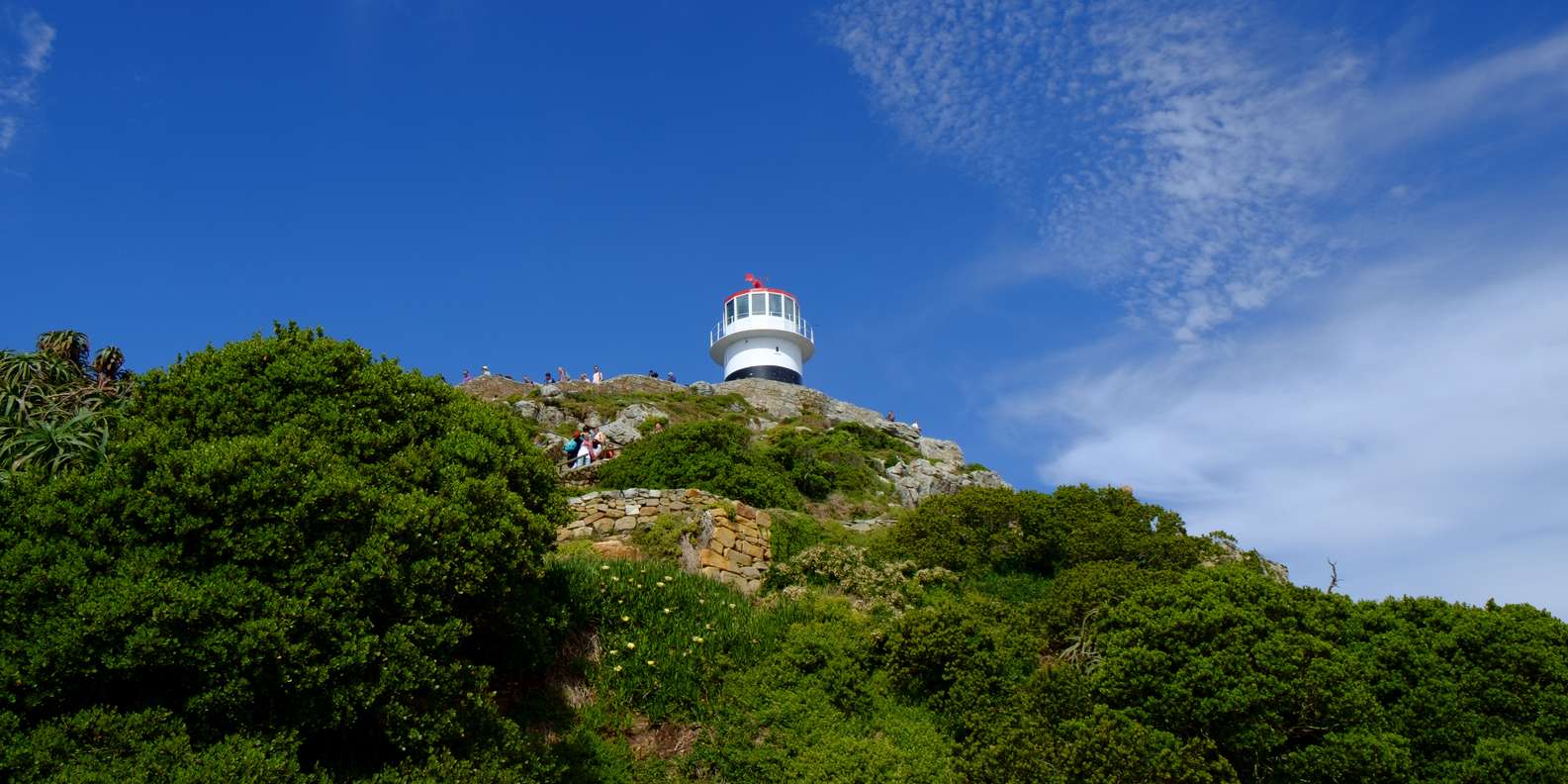 From Cape Town: Cape Point and Boulders Beach Half-Day Tour - Tour Overview