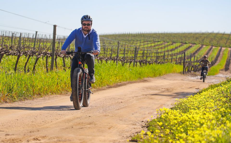 From Cape Town: E-Bike Winelands Tour - Tour Overview