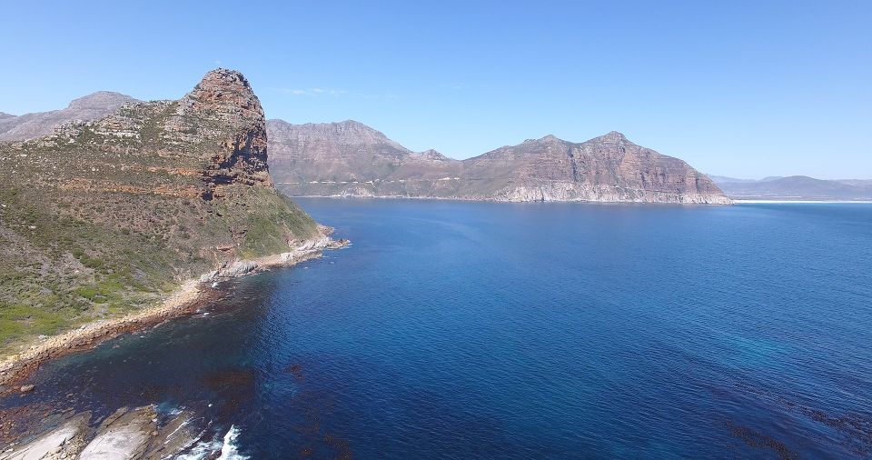 From Cape Town: Glass-Bottom Boat Seal Watching Tour - Overview of the Glass-Bottom Boat Tour