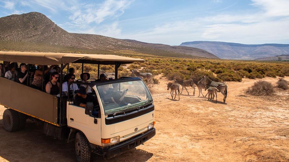 From Cape Town: Group Transfer Only to Aquilla Game Reserve - Overview and Pricing Details