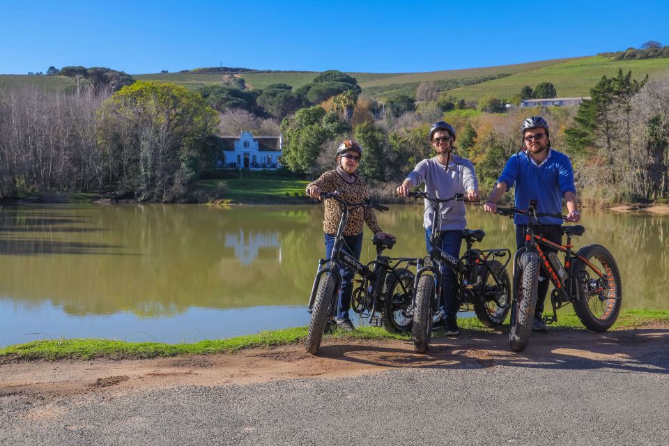 From Cape Town: Half-Day Winelands E-Bike Tour - Exploring the Winelands by E-Bike