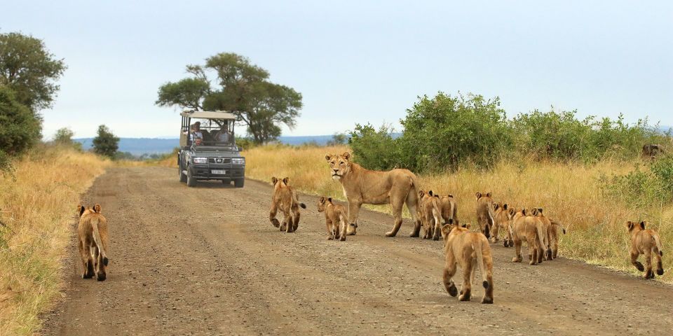 From Cape Town: Kruger National Park 2-Day Safari Trip - Overview of the Safari Trip