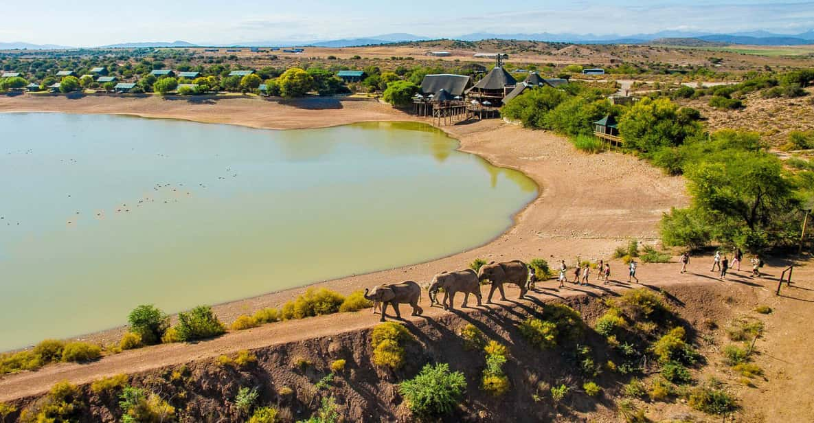 From Cape Town: South African Wildlife and Safari 2-Day Tour - Tour Overview and Highlights