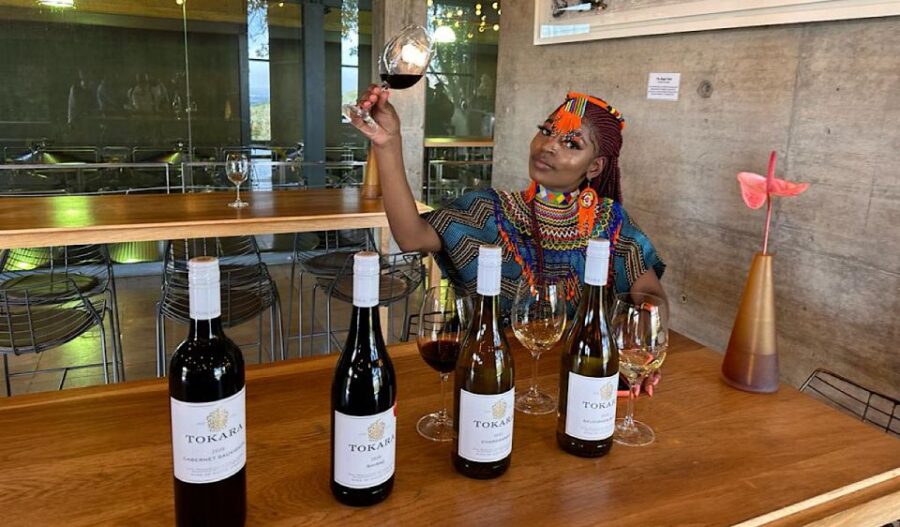 From Cape Town: Stellenbosch & Franschhoek Wine Tasting Tour - Highlights of the Tour