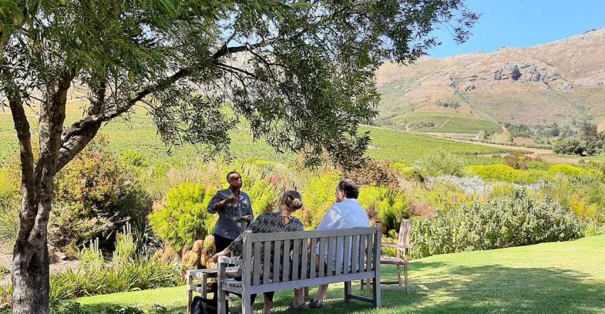 From Cape Town & Stellenbosch: Meet the Wine Maker Tour - Experience Highlights