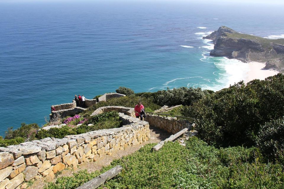 From Cape Town: Table Mountain Penguins & Cape Point Tour - Tour Overview and Highlights