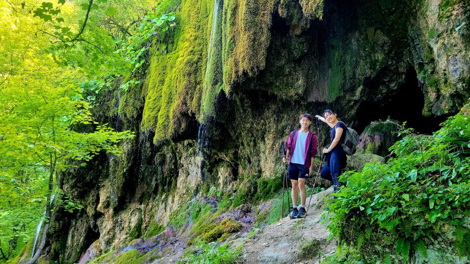 From Cluj-Napoca: Apuseni Mountains Hiking Guided Day Tour - Tour Overview