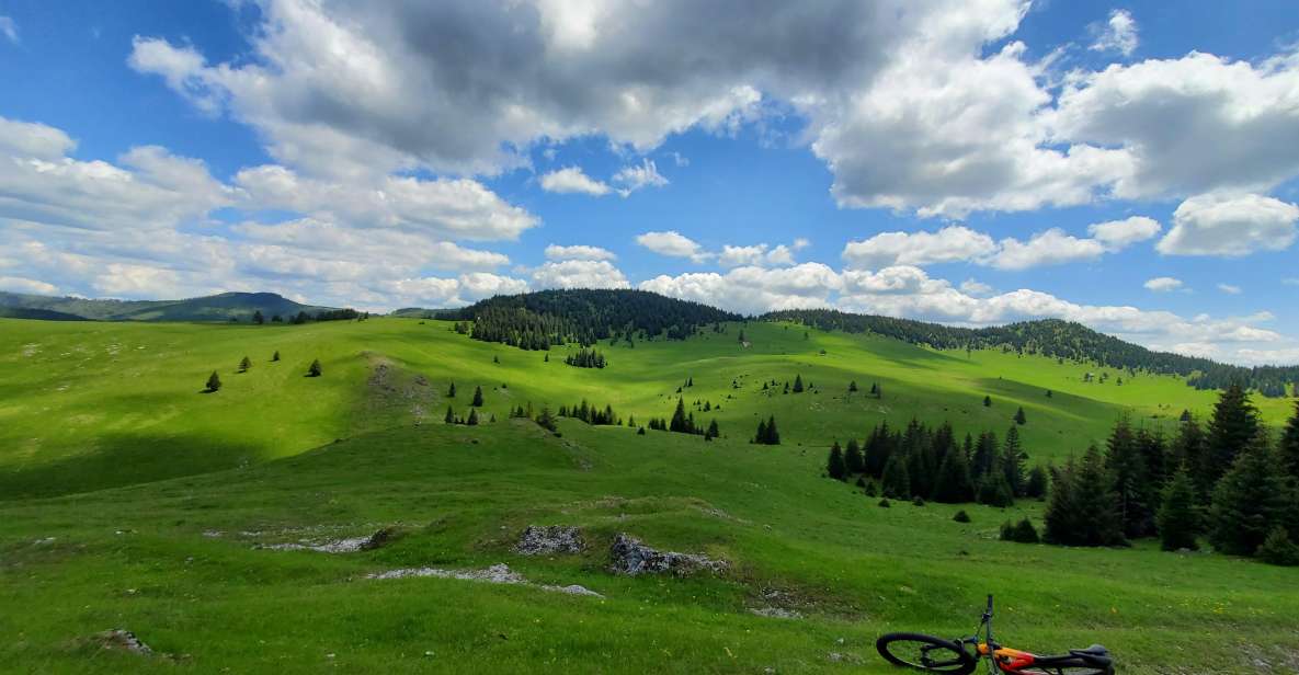 From Cluj-Napoca: Carpathian Mountains Guided Scenic Hike - Activity Overview