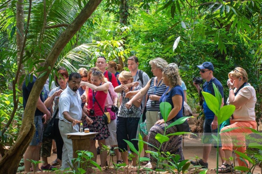 From Colombo/Negombo : Bentota & Galle Day Trip