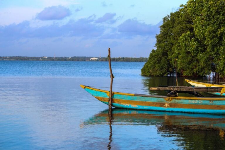 From Colombo: Negombo Lagoon (Mangrove )Boat Excursion