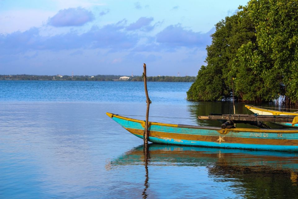 From Colombo: Negombo Lagoon (Mangrove )Boat Excursion - Overview and Pricing