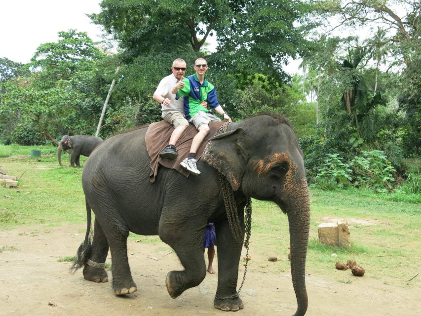 From Colombo: Sigiriya and Dambulla Day Trip With Safari