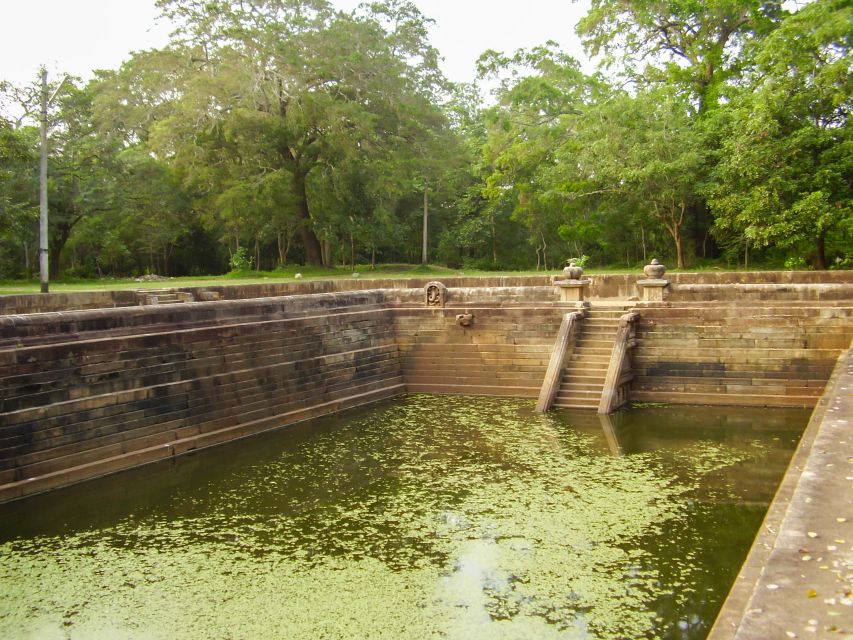 From Dambulla: Sacred City of Anuradhapura Private Day Tour - Tour Overview