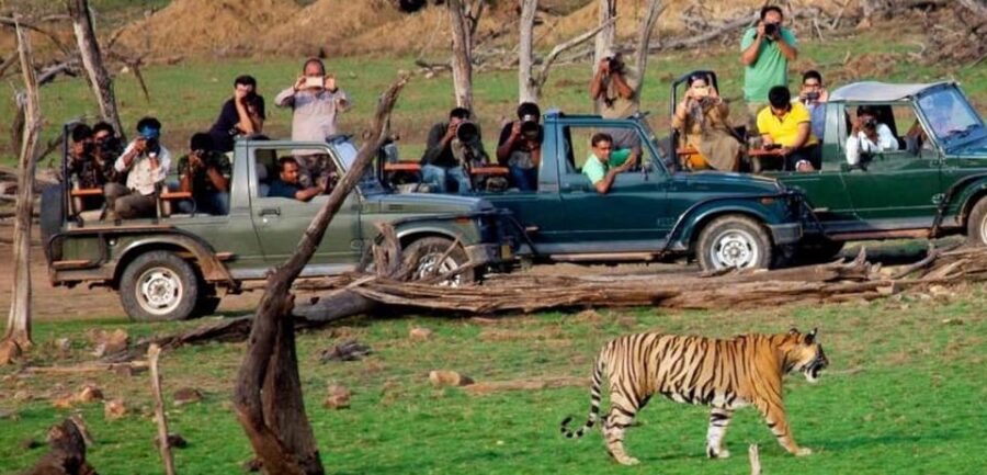 From Delhi: 4-Day Golden Triangle & Ranthambore Tiger Safari