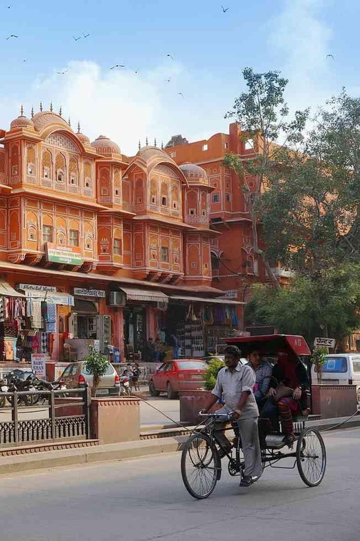 From Delhi: Jaipur Day Trip by Private Car - Overview and Pricing