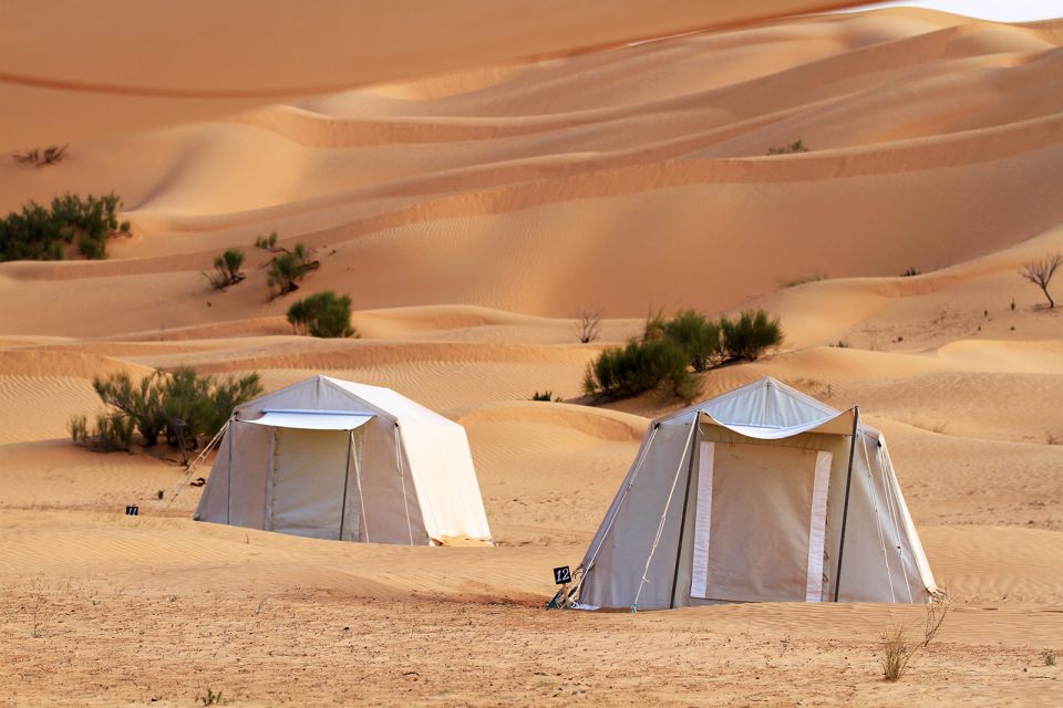 From Douz: Overnight Safari in Tunisian Sahara Desert - Overview and Pricing