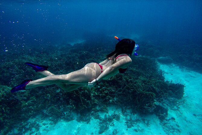 From Dubai: Discovery Scuba Diving Trip in Fujairah