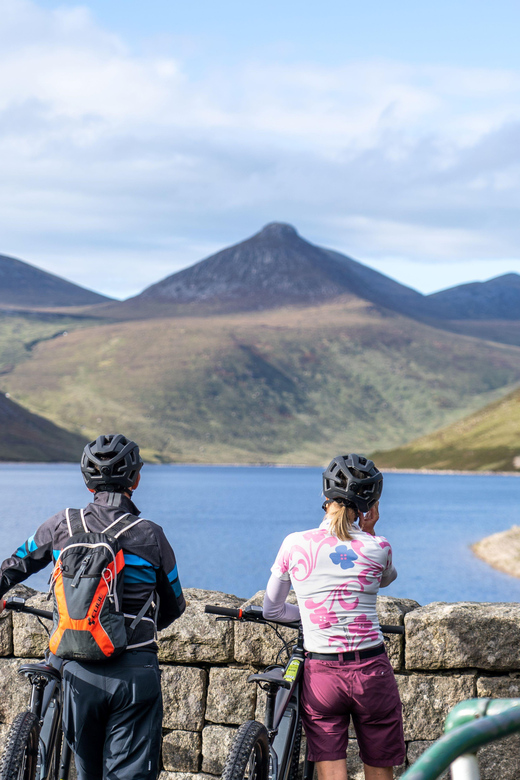 From Dublin: Electric Bike Experience - Experience Overview