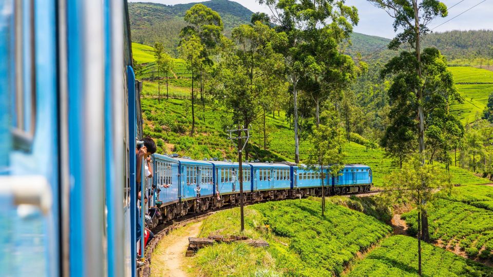 From Ella or Bandarawela: Adisham Rail All-Inclusive Tour - Itinerary Highlights