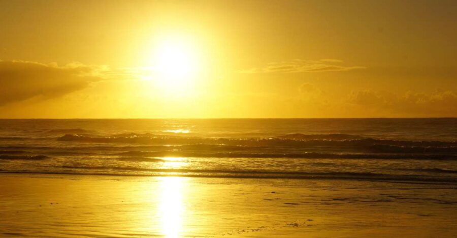 From Essaouira: 1-Hour Horse Ride With Sunset