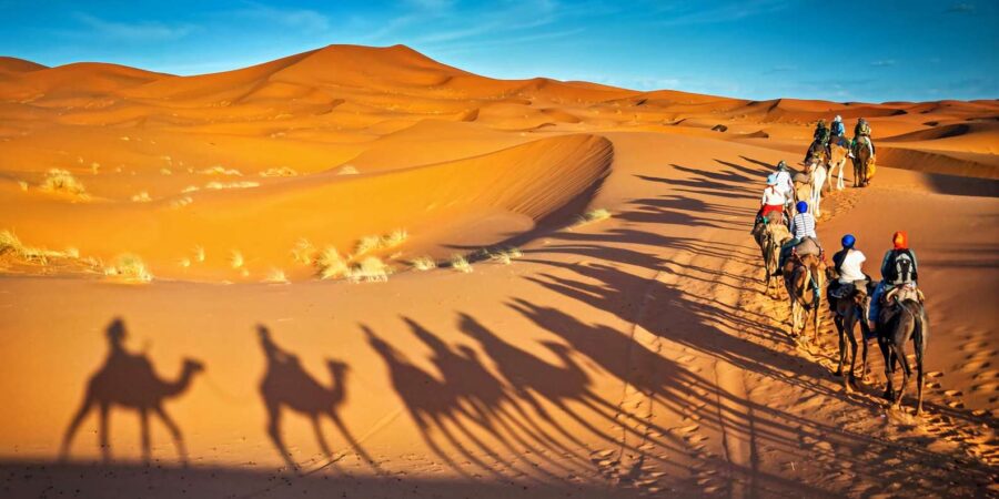 From Fes: 3-Day Desert Tour to Marrakech With Camel Ride