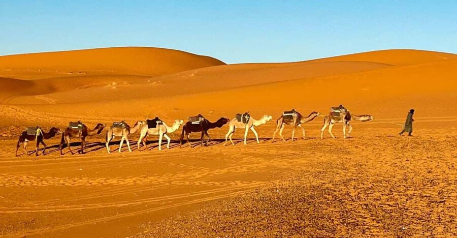 2 Best 3 Day Tours In Ifran