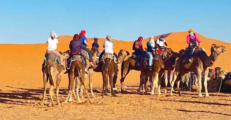 FROM FES: Private 3 Days to Marrakech With LUXURY CAMP - Itinerary Highlights
