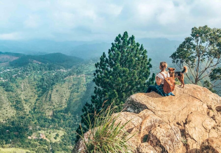 From Galle/Mirissa/Tangalle/Hikkaduwa Day Trip to Ella Peaks